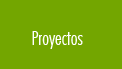 Proyectos