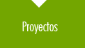 Proyectos
